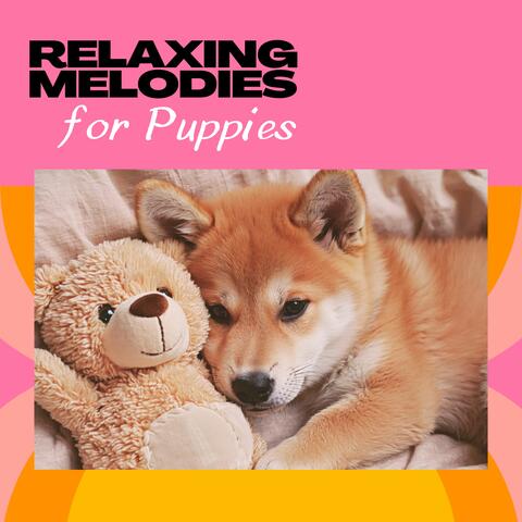 Relaxing Melodies for Puppies: Gentle Piano Tunes for Pet Comfort and Serenity