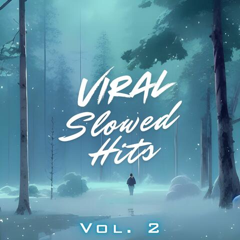 Viral Slowed Hits, Vol. 2