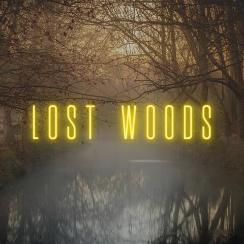 Lost Woods