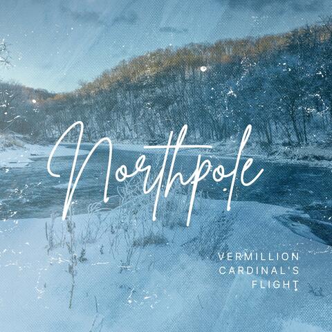 Vermillion Cardinal's Flight