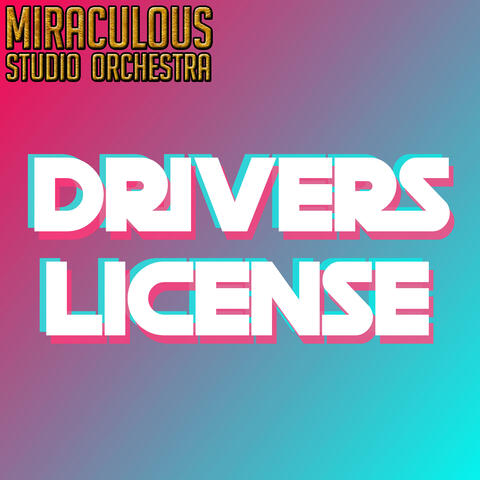 Drivers License