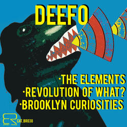 Brooklyn Curiosities