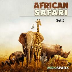Time to See Africa