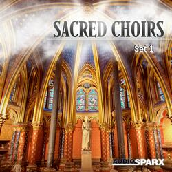 The Concerto for Two Choirs "Came into the Church"