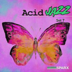 El Son (DJ Spinna Mix)