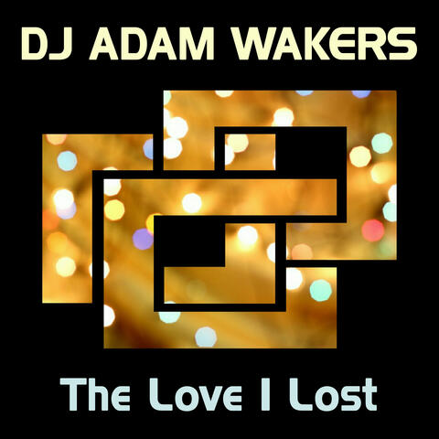 The Love I Lost