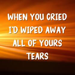 When You Cried I'd Wiped Away All of Your Tears