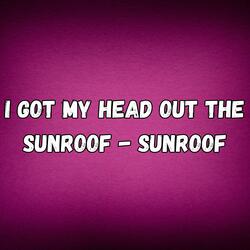 I Got My Head Out the Sunroof (Sunroof)