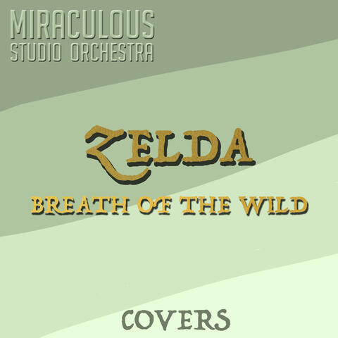 Zelda Breath of the Wild (Covers)