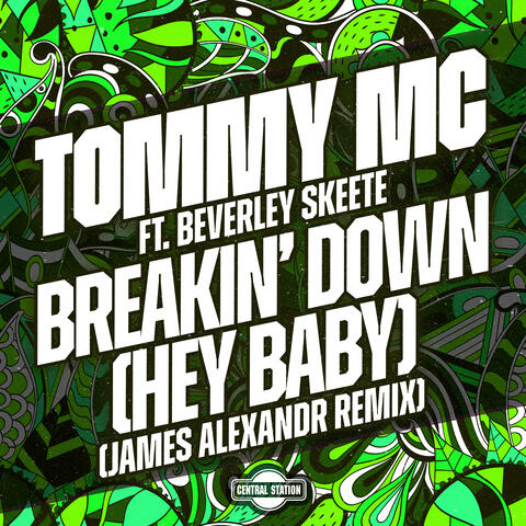 Breakin' Down (Hey Baby)