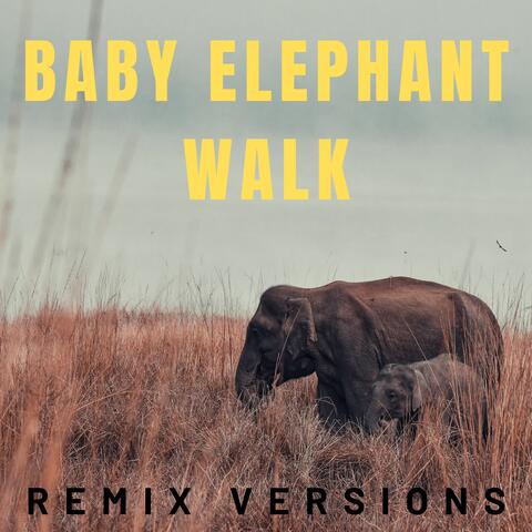 Baby Elephant Walk