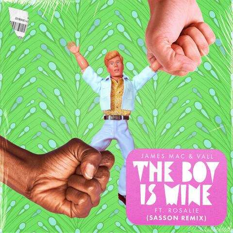 The Boy Is Mine