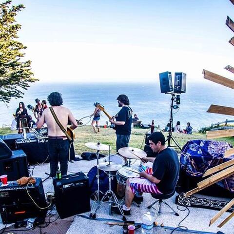 The Earthtones