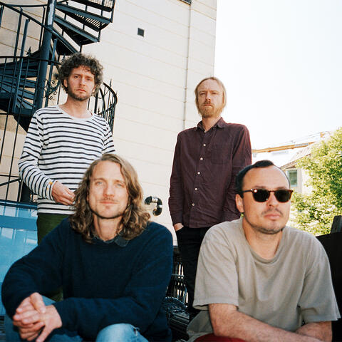 Dungen