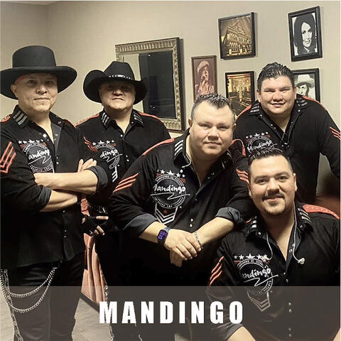 Mandingo