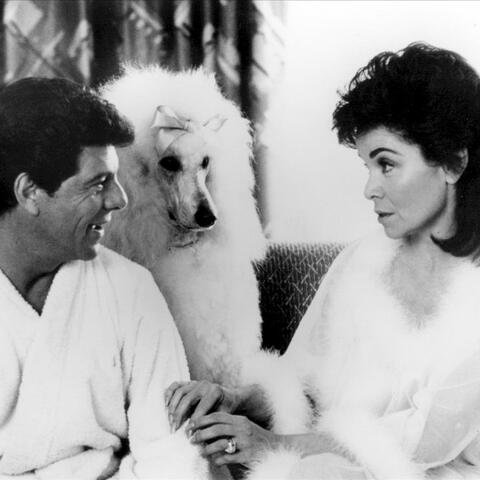 Annette Funicello