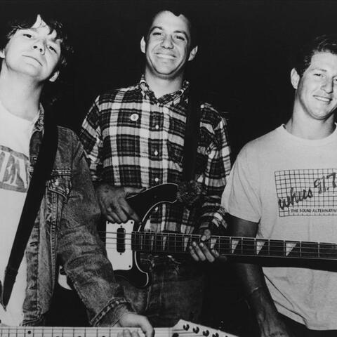 Mike Watt