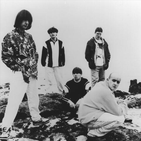 Inspiral Carpets