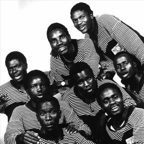 Black Umfolosi