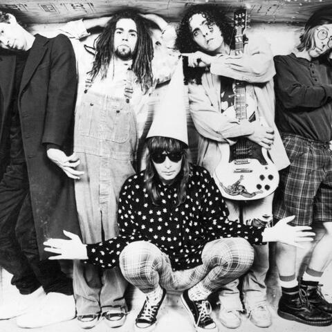 The Dickies