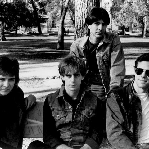 The Droogs