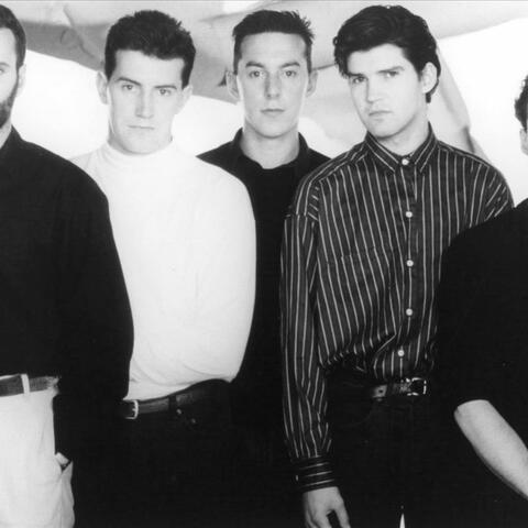 Lloyd Cole and the Commotions