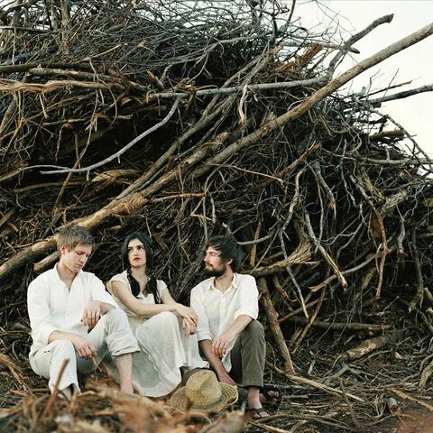 Bowerbirds