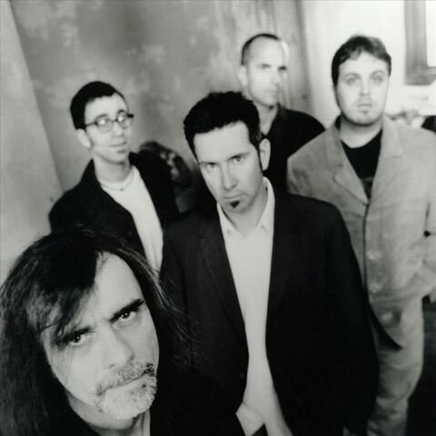The Backsliders