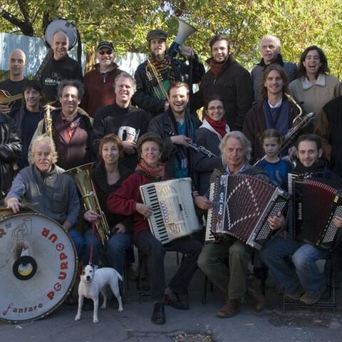 Fanfare Pourpour