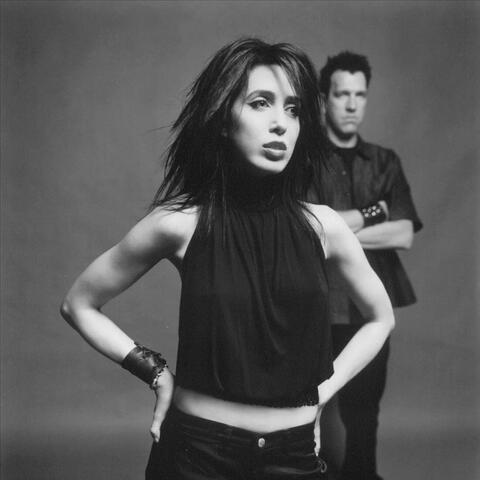 The Kidneythieves