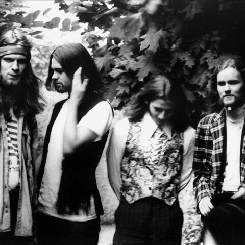 Deep Jimi And The Zep Creams