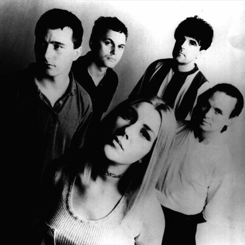The Darling Buds