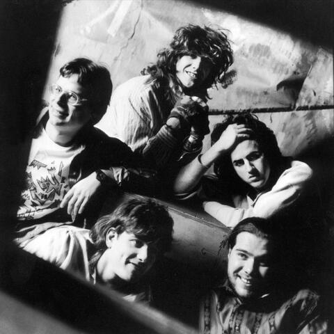 The White Animals