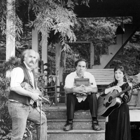 Savoy-Doucet Cajun Band