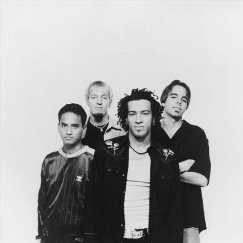 All Together Separate