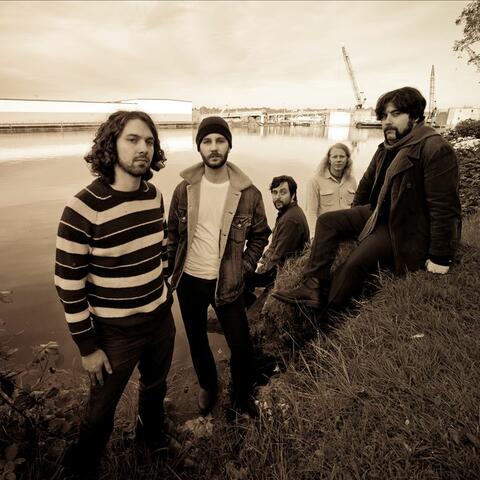 The Moondoggies