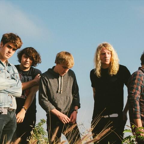 The Orwells