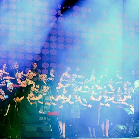 PERPETUUM JAZZILE