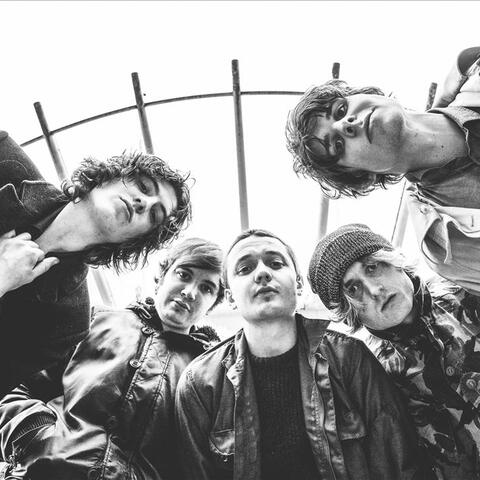 Cabbage