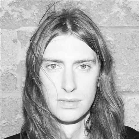 Taylor Knox