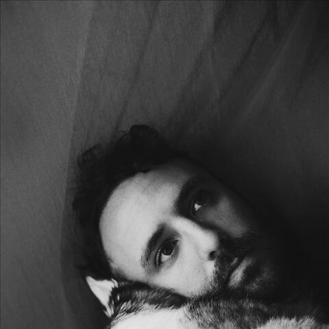 Jaws of Love