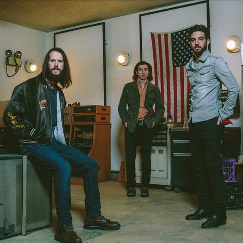 The Whigs