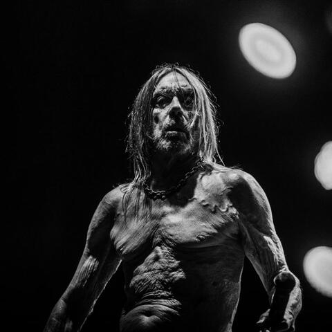 Iggy Pop