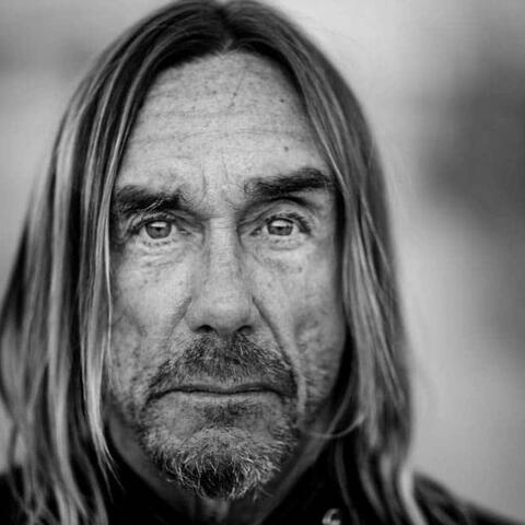 Iggy Pop