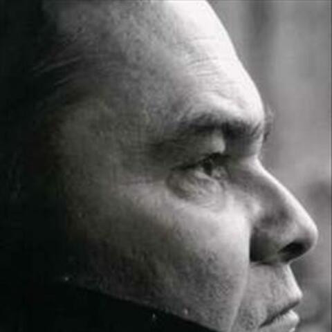 Horatiu Radulescu