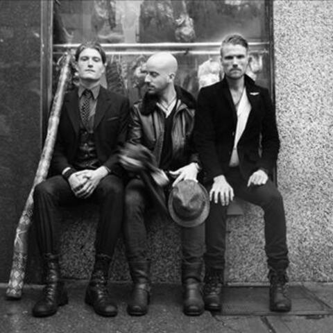 The Kin