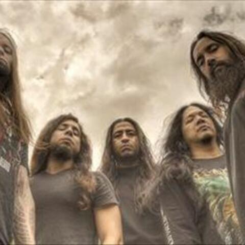 Disgorge