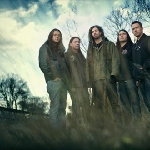 Shadows Fall