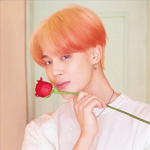 Jimin & Irion