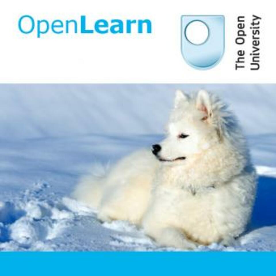 Surviving the winter - for iBooks